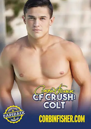 CF Crush Colt