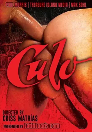 Culo (Treasure Island). Colombian gay porn film showcases Colombian breeders latin raw fucks, their versatility and skill in action gay sex.