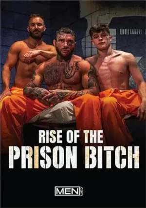 Rise of the Prison Bitch. A delivery guy turns inmate, finds gay fuck pleasure in prison. Intense gay raw action scenes, power dynamics and threesomes.