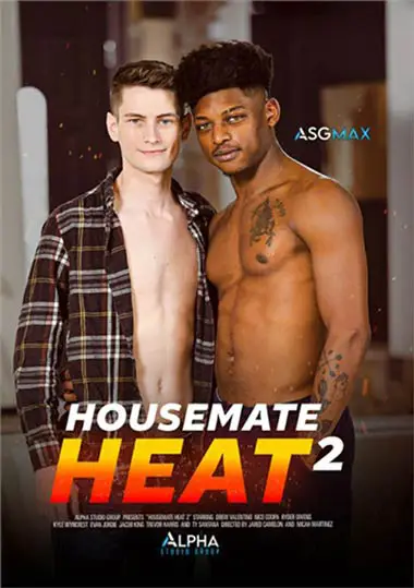 Housemate Heat 2 Main Poster