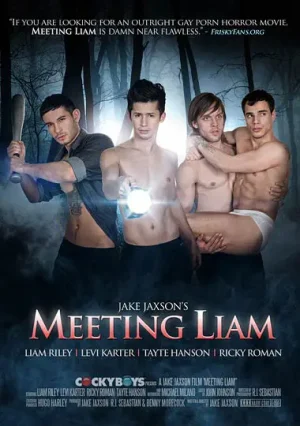 Meeting Liam Gay Porn: CockyBoys gay sex thriller starring Liam Riley & Levi Karter. Access your high-quality gay porn download for this hit today!