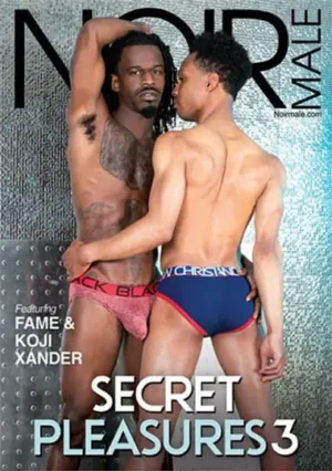 Secret Pleasures 3 gay porn download: intense Noir Male release with rim jobs, blowjobs, explosive orgasims and hot office, bed & fame scenes.